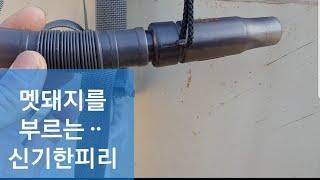 #63 멧돼지를 부르는 신기한피리-사용후기-진도개 사냥훈련때 사용