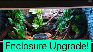 Brazilian Rainbow Boa Enclosure Upgrade!