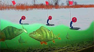 НЕ ОЖИДАЛ! Рыбалка на жерлицы с подводными камерами!