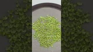 Natural olivine, diamond , really beautiful#crystals #diy #gemstone #jewelry