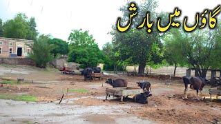 Rain in Village Punjab Pakistan | Happy Rainy Day | Village Life