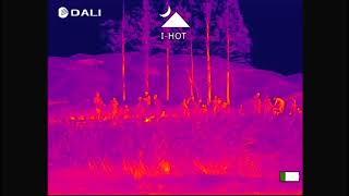 S25X Series Thermal Monocular in Action: Person Observation