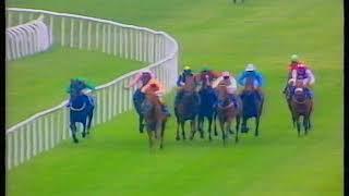 1994 Irish 2000 Guineas Turtle Island Includes Replay