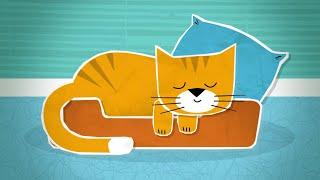 Cat Purring Sounds  with White Noise  10 Hours Kitten for Sleep or Relaxation