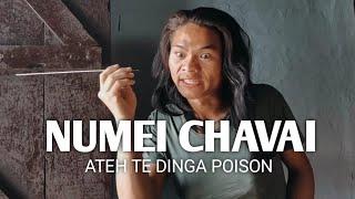 Numei chavai ateh te dinga POISON || Kuki Maiba Parody