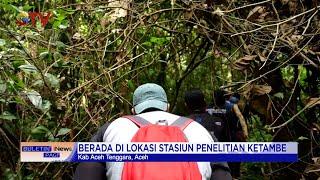 Menilik Perjalanan Alam Liar yang Sajikan Pohon Raksasa di Aceh Tenggara #BuletiniNewsPagi  04/12