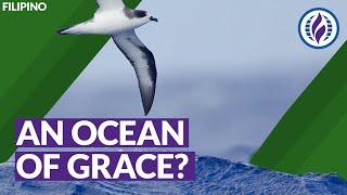 An Ocean of Grace? A "Progressive" Perspective