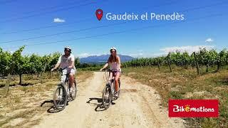 BIKE & WINE TOUR PENEDÈS, BARCELONA | BIKEMOTIONS