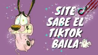 SI TE SABES EL TIKTOK BAILA! - 2024