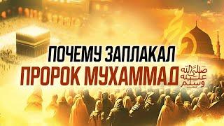 Вы полюбите Пророкаﷺ сильнее после этого ролика!