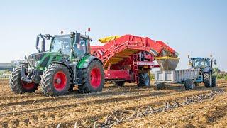 Potato Harvester  Fendt 516 + Grimme SE260 | AIA Ricci