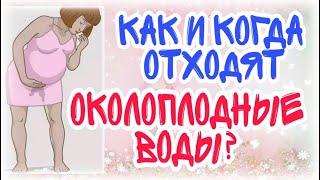 Как и когда отходят околоплодные воды?