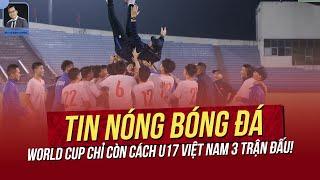 Tin nóng 29/10: World Cup chỉ còn cách U17 Việt Nam 3 trận đấu! Báo Indo ngại 3 cầu thủ Nhập tịch VN