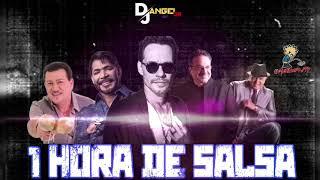 @DJANEGLJR507 1 HORA DE #SALSA #MIX #2024