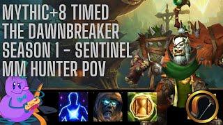 M+8 The Dawnbreaker Timed | Sentinel MM Hunter POV | TWW Season 1