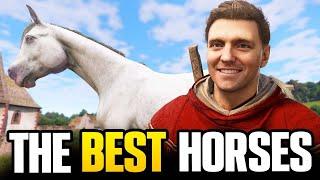 The Best Horses in Kingdom Come Deliverance 2