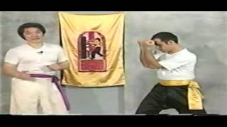 GrandMaster William Cheung KUNG FU Wing Chun Fighting Strategy