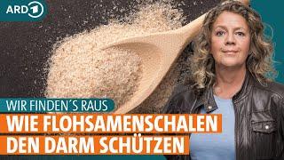 Wie Flohsamenschalen den Darm schützen I ARD Gesund