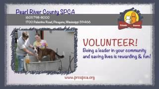 Pearl River County SPCA v1