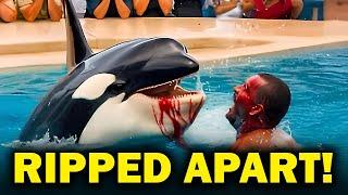 This BRUTAL Orca ATTACK On Trainer Steve Aibel SHOCKED The World