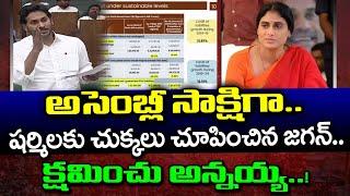 CM Jagan Shock to Ys Sharmila in Assembly : PDTV News