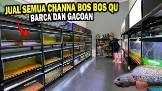 JUAL SEMUA CHANNA DIGALERI ?? HARGA 2 BARCA DAN GACOAN BOS BOS QU