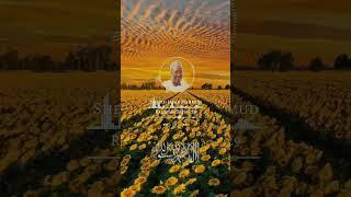 Ramadan Tafsir 29 By Sheikh jafar Mahmud Adam