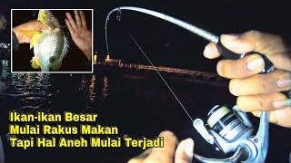 Horor Banget Mancing Malam Disini, Banyak Peristiwa Diluar Nalar Yang Terjadi