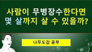 무병장수한다면 몇 살까지 살 수 있을까? : 소나무잎과 잣나무의 열매에 얽힌 재미있는 전설 : 256세 최장수 어른의 장수비결