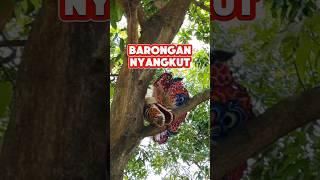 kok bisa barongan nyangkut - di like dan subscribe ya gaes #barongan #shorts #shortsjaranan