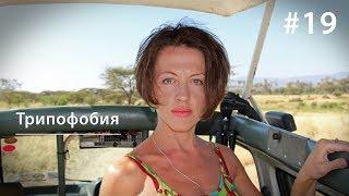 Трипофобия: почему нас пугают дырки и гипнотизируют прыщи // Все как у зверей #19