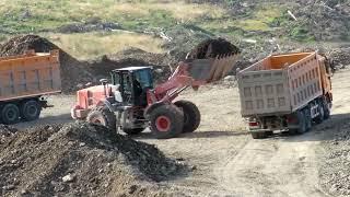 Shacman F3000 8X4 Dump Trucks in South America Mining Site.