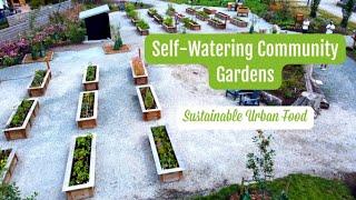 Self-Watering Community Gardens in New Westminster