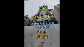 인천 부평구 부평동 신축아파텔 - 41평형 대형쓰리룸 통베란다 부평역 부평시장역 더블역세권