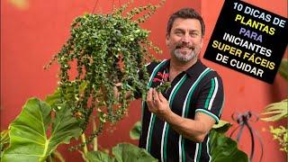 10 Dicas de Plantas Para Iniciantes Super Fáceis de Cuidar