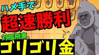 【対居飛車ゴリゴリ金】決まると15秒以内に勝てます(ガチ)将棋ウォーズ実況 3分切れ負け