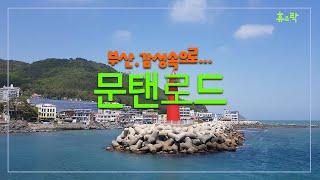 해운대 '문탠로드'-달맞이고개 해안절경 감상할 수 있는 산책길-휴&락 [부산, 감성속으로 4]-4K