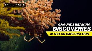 The Best of OceanX Discoveries