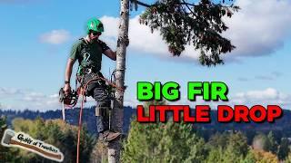 Removing A Huge 40" Fir with a CRAZY BIG stump!! Backyard Fir Removal!