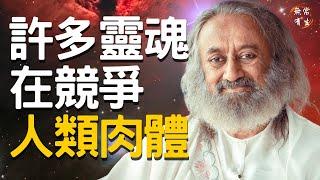 許多靈魂都在競爭人類的肉身 問答｜靈性探索&問答 古儒吉大師 #無常有生