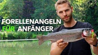 FORELLENANGELN für EINSTEIGER - Meine Taktik für den FORELLENSEE | Fishing-King.de