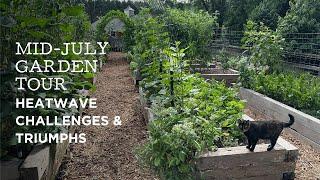 Mid-July Garden Tour | Heatwave Challenges & Triumphs