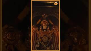 Srinivasa Nine Paliso | ಶ್ರೀನಿವಾಸ ನೀನೆ ಪಾಲಿಸೊ | Karunikayo | Vidyabhushana | @SVDPushpam