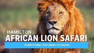 African Lion Safari: Our Journey in Hamilton, Ontario