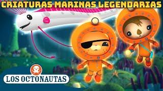 Los Octonautas -  Criaturas marinas legendarias  | Compilado | Episodios Completos