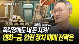 폭락장에도 내 돈 지켜! 엔화-금, 안전 장치 매매 전략은 (강승희 테이바랩 대표) ㅣ 굿모닝인포맥스 240912