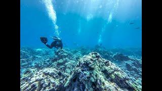 Scuba diving in Kona Hawaii