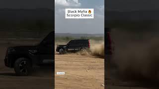 Black Mafia SCORPIO Classic S11 ️ | #shorts #viralvideo #viralshorts #roadkliq