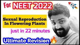 "Sexual Reproduction In Flowering Plants" In One Shot  | Neet 2021 : Final Revision