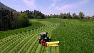 1st Cut 2024 Grass Silage